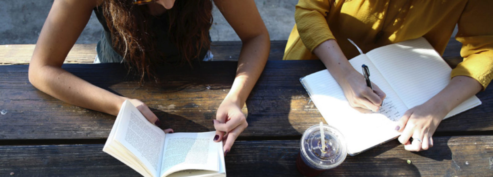 Website development placeholder image of two young woman studying